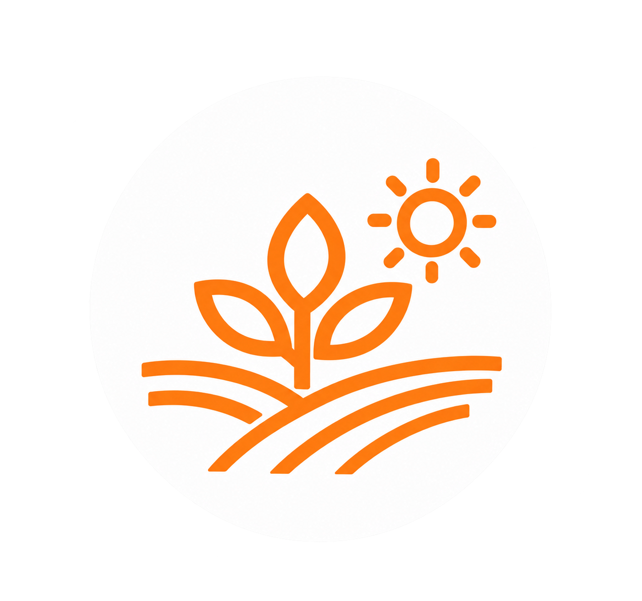 COM ÉS LA PRODUCCIÓ AGRÍCOLA