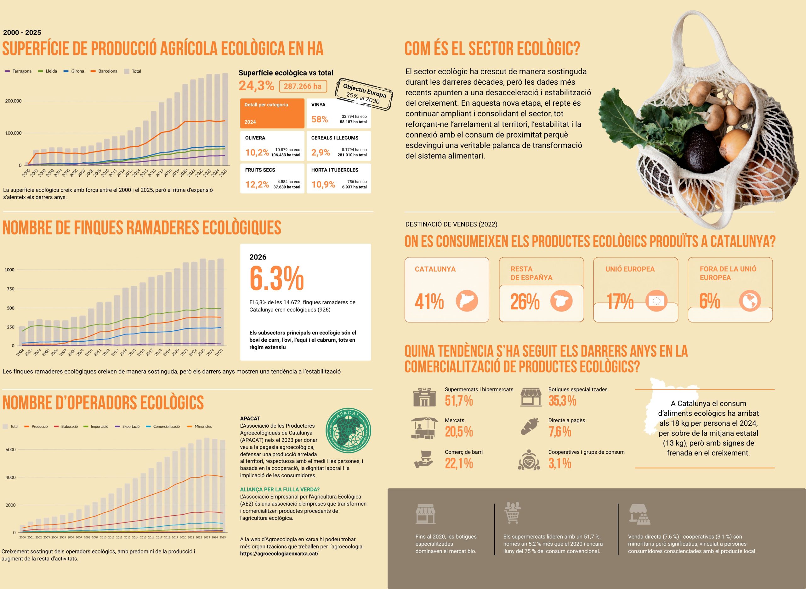 COM ÉS EL SECTOR ECOLÒGIC