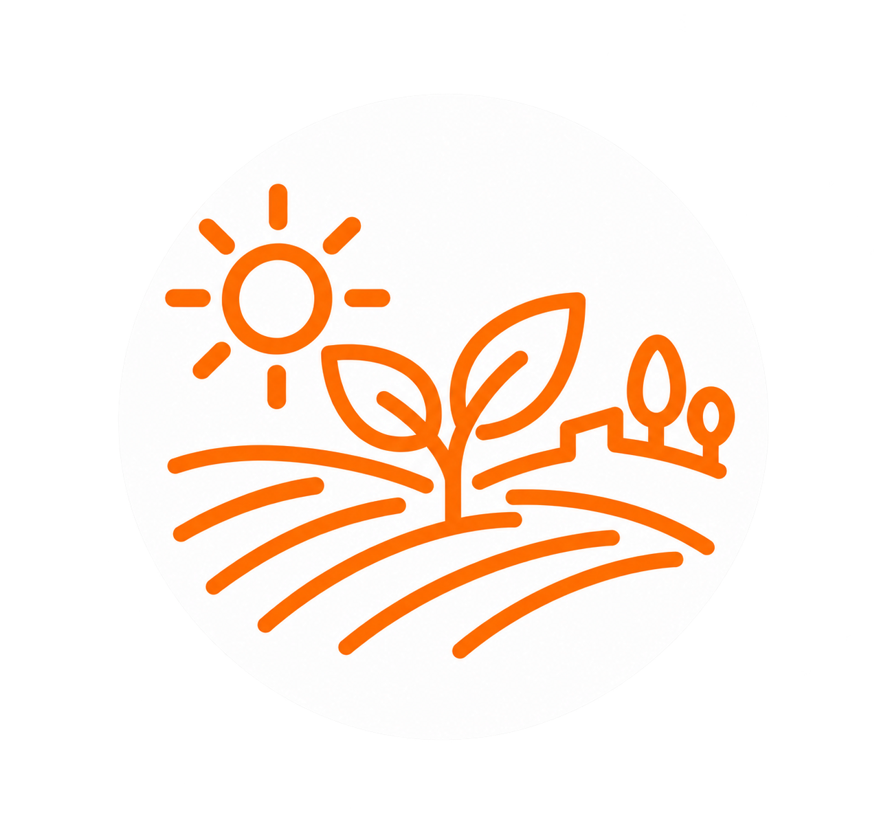 COM ÉS EL SECTOR ECOLÒGIC